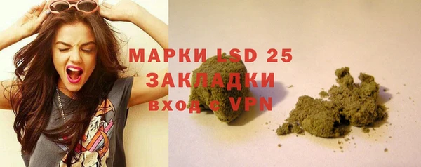PSILOCYBIN Беломорск