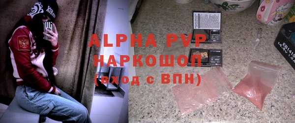 PSILOCYBIN Беломорск